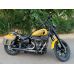 Мотокофри бічні для крузерів та чопперів Harley Davidson